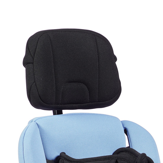 Curved head support