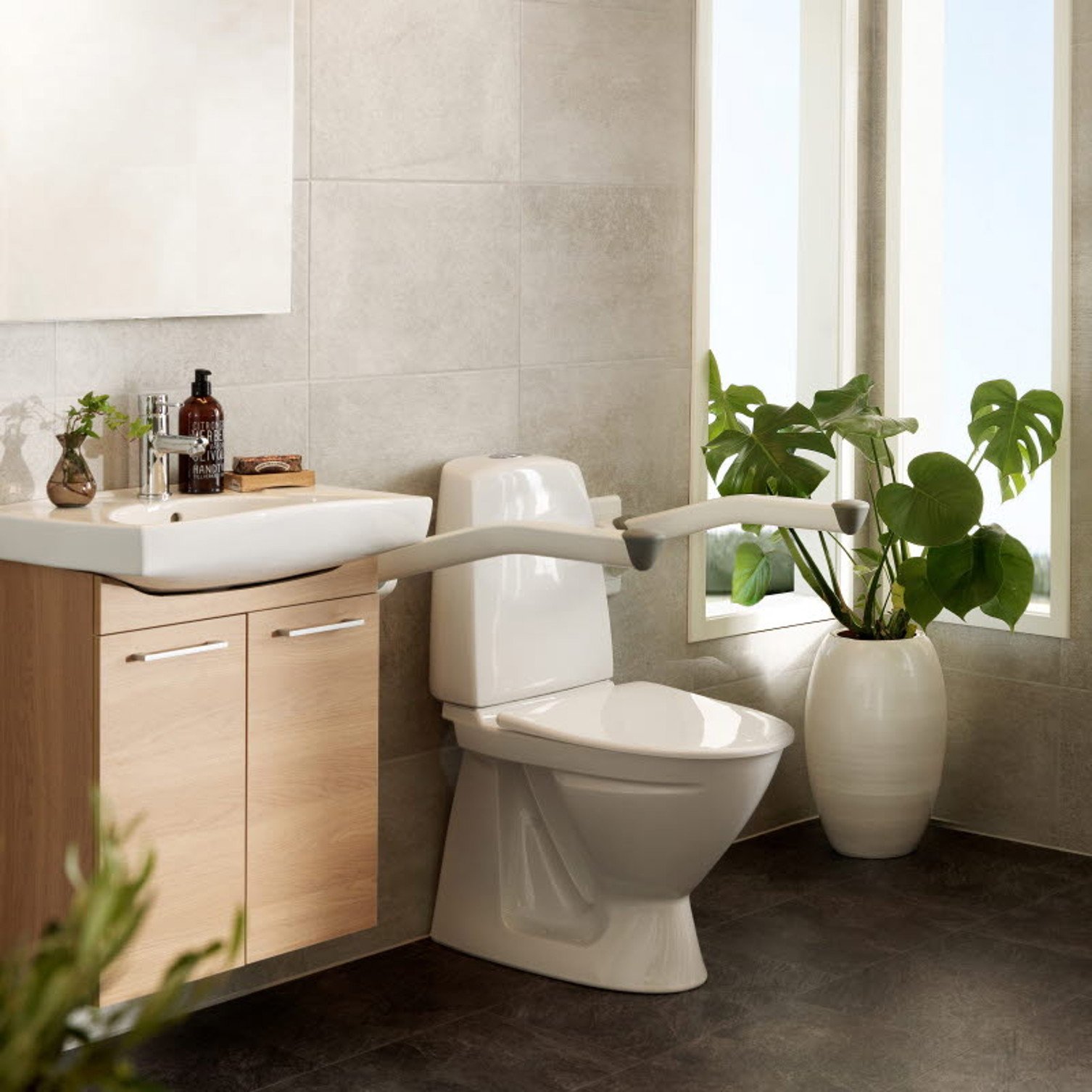 /globalassets/inriver/resources/image/structureimage/Category-toilet-arm-supports.jpg?width=1506&Quality=90&rmode=max&scale=down