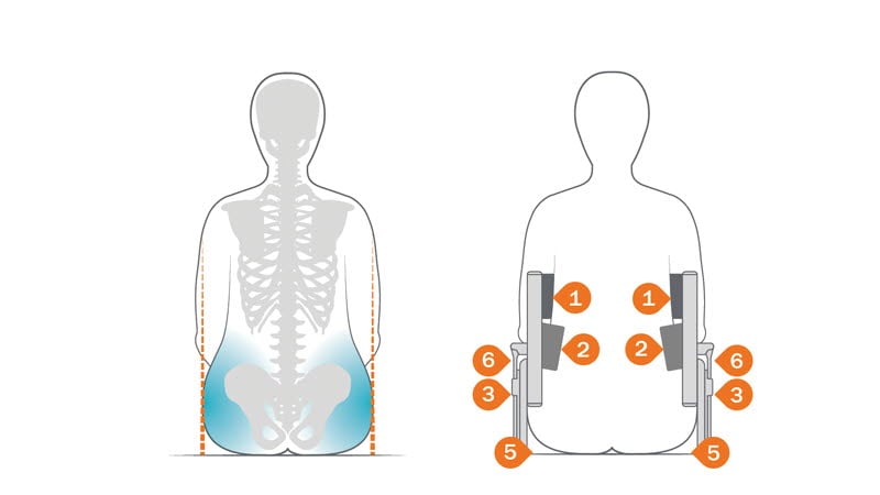 Body shapes in wheelchairs